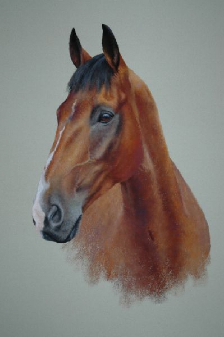 Lucy Milne Portraits Portraits of Horses, Dogs, Children, Adults by Commission
