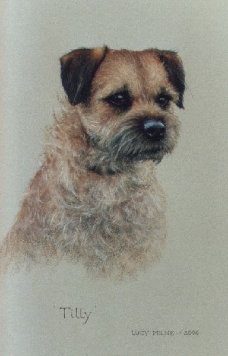 Lucy Milne Portraits Portraits of Horses, Dogs, Children, Adults by Commission