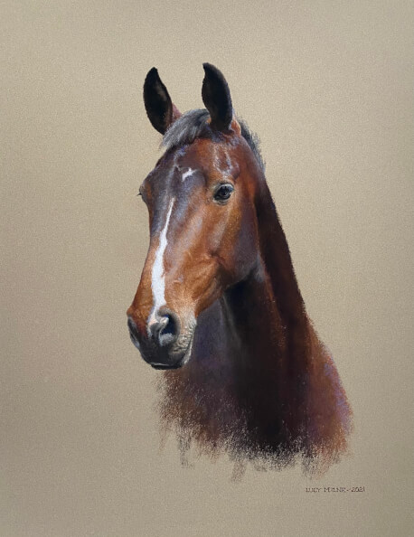 Lucy Milne Portraits Portraits of Horses, Dogs, Children, Adults by Commission