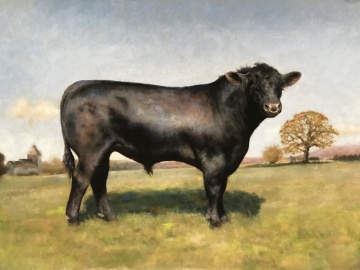 The Bull - Lucy Milne Portraits