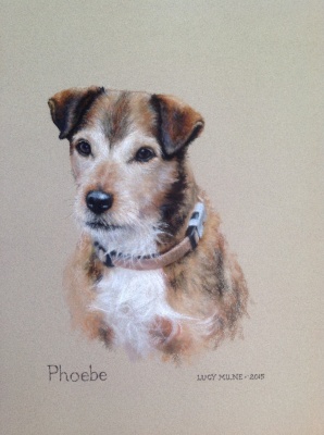 Portraits-of-dogs - Lucy Milne Portraits