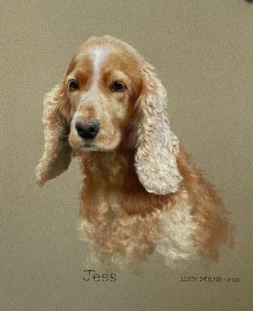Portraits-of-dogs - Lucy Milne Portraits