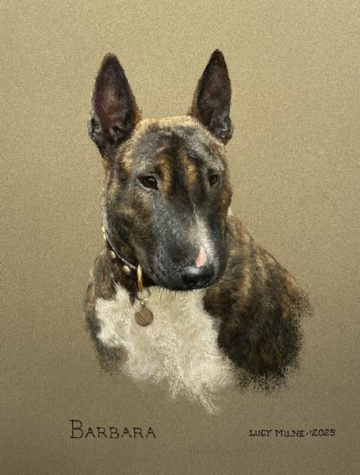 Portraits-of-dogs - Lucy Milne Portraits
