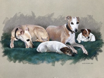 Portraits-of-dogs - Lucy Milne Portraits