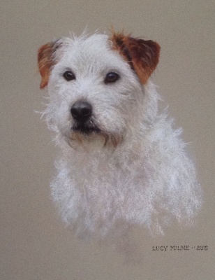 Portraits-of-dogs - Lucy Milne Portraits
