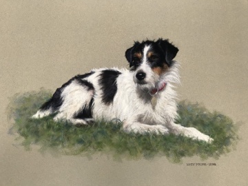 Portraits-of-dogs - Lucy Milne Portraits