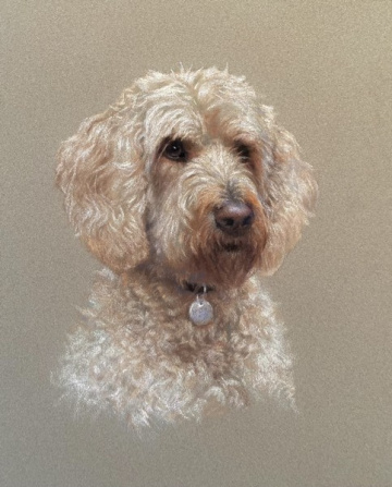 Portraits-of-dogs - Lucy Milne Portraits