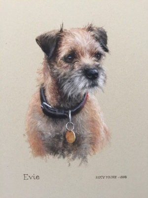 Portraits-of-dogs - Lucy Milne Portraits