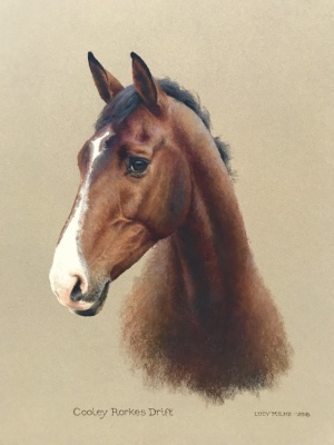 Portraits-of-horses - Lucy Milne Portraits