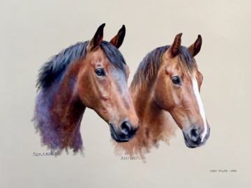 Portraits-of-horses - Lucy Milne Portraits