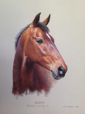 Portraits-of-horses - Lucy Milne Portraits