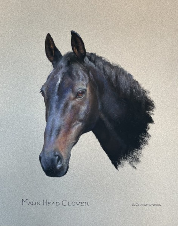 Portraits-of-horses - Lucy Milne Portraits