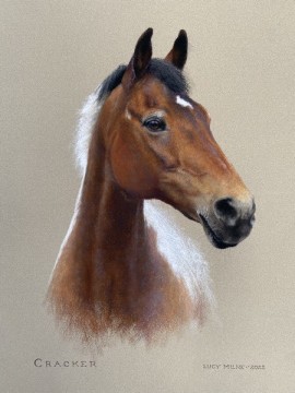 Portraits-of-horses - Lucy Milne Portraits
