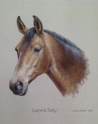 Portraits-of-horses - Lucy Milne Portraits