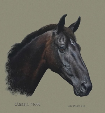 Portraits-of-horses - Lucy Milne Portraits