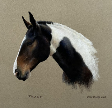 Portraits-of-horses - Lucy Milne Portraits