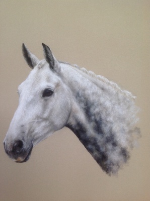 Portraits-of-horses - Lucy Milne Portraits