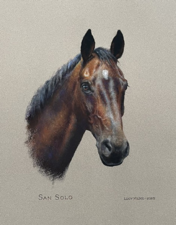 Portraits-of-horses - Lucy Milne Portraits