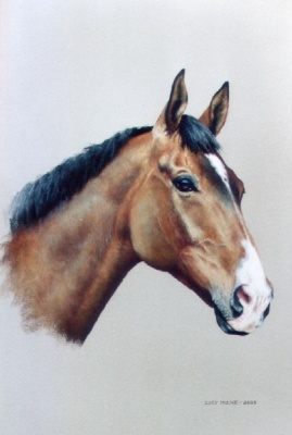 Portraits-of-horses - Lucy Milne Portraits
