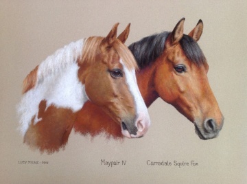 Portraits-of-horses - Lucy Milne Portraits